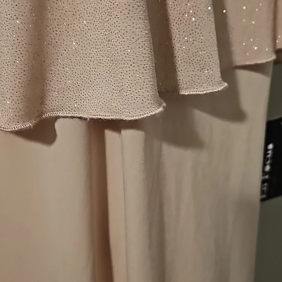 EN FOCUS Studio woman Sparkly Nude + Gold Sheer Tank Dress 16W NWT - Picture 4 of 14